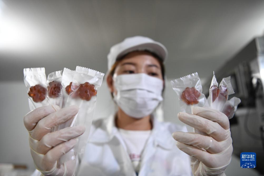 兴发第一老虎机平台手机版